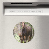 Moose Animal Forest Peace Liebe Destiny Magnet (In Situ (Geschirrspüler))