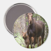 Moose Animal Forest Peace Liebe Destiny Magnet (Vorderseite/Rückseite)