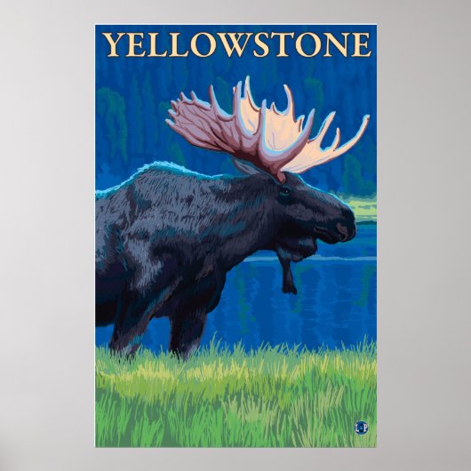 Moose at Night - Yellowstone Nationalpark Poster (Vorne)