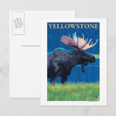 Moose at Night - Yellowstone Nationalpark Postkarte (Vorne/Hinten)