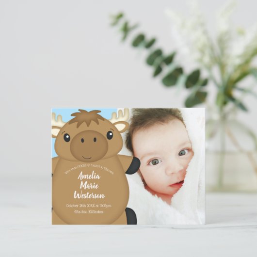 Moose Baby Shower Blue Postkarte (Stehend Vorderseite)