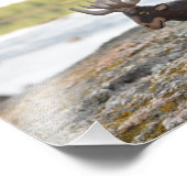 Moose Camping Foto Print (Ecke)