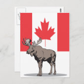 Moose Canada Postkarte (Vorne/Hinten)