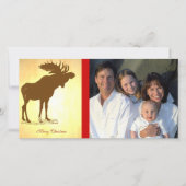 Moose Christmas Feiertagskarte (Vorderseite)