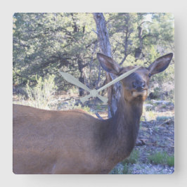 Moose Clock Quadratische Wanduhr