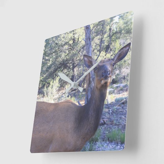Moose Clock Quadratische Wanduhr (Winkel)