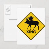 Moose Crossing Highway-Zeichen Postkarte (Vorne/Hinten)