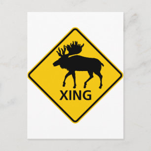 Moose Crossing Highway-Zeichen Postkarte