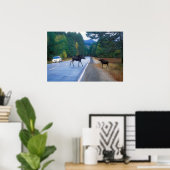 Moose Crossing Kancamagus Highway Poster (Heimbüro)