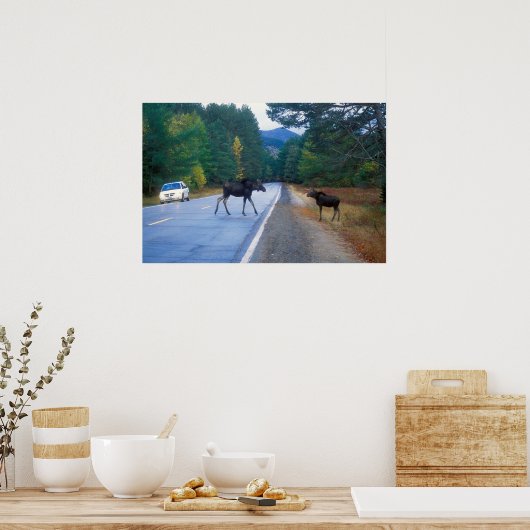Moose Crossing Kancamagus Highway Poster (Küche)