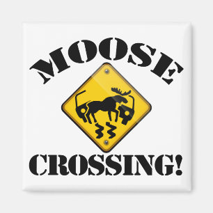 Moose Crossing Sign Magnet