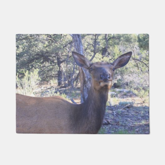 Moose Doormat Fußmatte (Vorderseite)