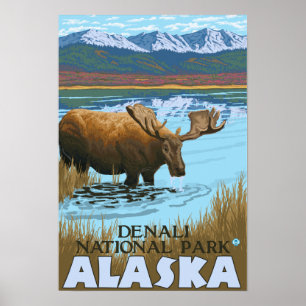 Moose Drink am Lake - Denali Nationalpark, Poster