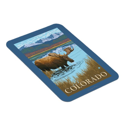 Moose DrinkingColorado Magnet (Rechte Seite)