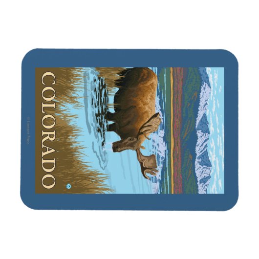 Moose DrinkingColorado Magnet (Horizontal)