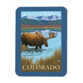 Moose DrinkingColorado Magnet (Vertikal)