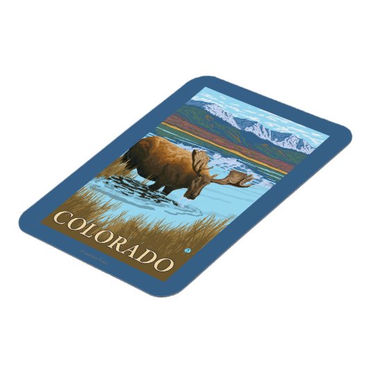 Moose DrinkingColorado Magnet (Linke Seite)