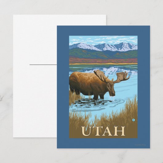 Moose DrinkingUtah Postkarte (Vorne/Hinten)
