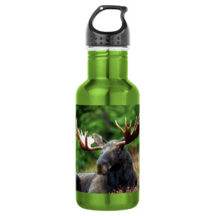 Moose Edelstahl Wasserflasche