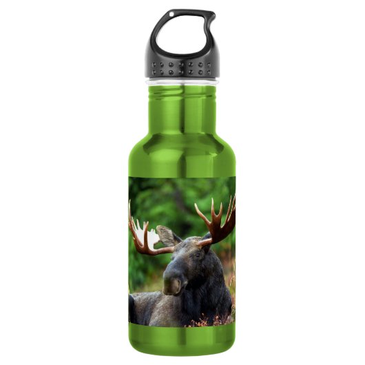 Moose Edelstahl Wasserflasche (Vorderseite)