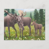 Moose Family Postcard Postkarte (Vorderseite)