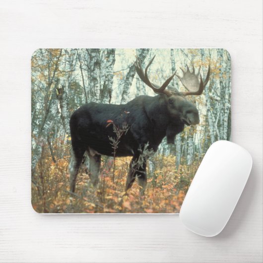 Moose Forest Trees Park Mousepad (Mit Mouse)