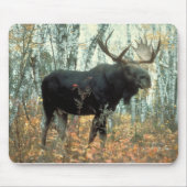 Moose Forest Trees Park Mousepad (Vorne)