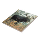 Moose Forest Trees Park Parco Civico-Ciani Fliese (Seite)