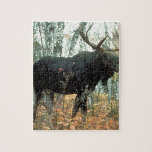 Moose Forest Trees Park Parco Civico-Ciani Puzzle