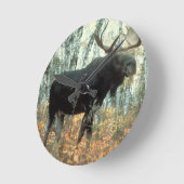 Moose Forest Trees Park Parco Civico-Ciani Runde Wanduhr (Winkel)