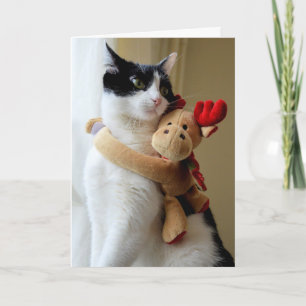 Moose Hugging Kitty Cat Weihnachtsgrüßkarte Feiertagskarte