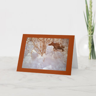 Moose in Alaska Blank Greeting Card Karte
