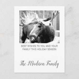 Moose In Winter Snow Christmas Greeting Feiertagspostkarte
