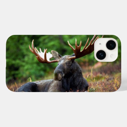 Moose iPhone 14 Hülle (Rückseite (Horizontal))
