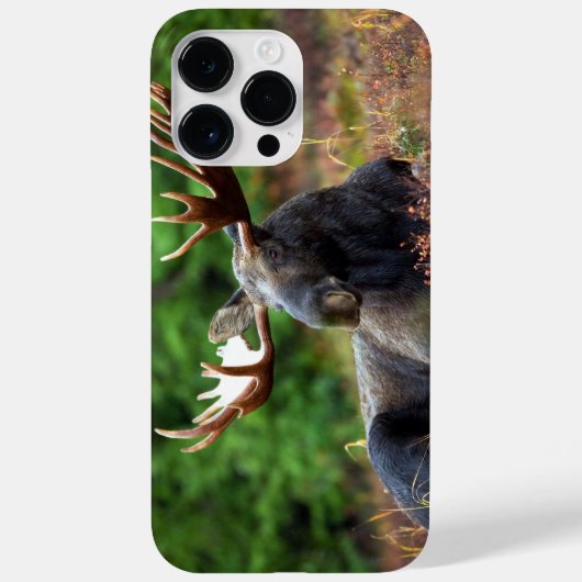 Moose iPhone 14 Pro Max Fall Case-Mate iPhone Hülle (Rückseite)