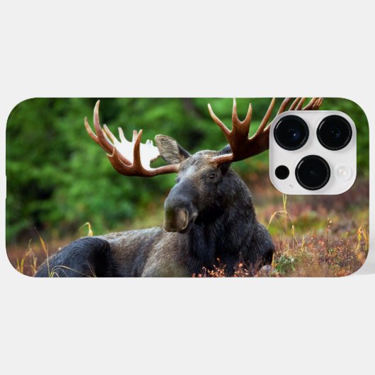 Moose iPhone 14 Pro Max Fall Case-Mate iPhone Hülle (Rückseite (Horizontal))