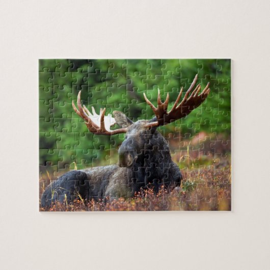 Moose Jigsaw Puzzle (Horizontal)
