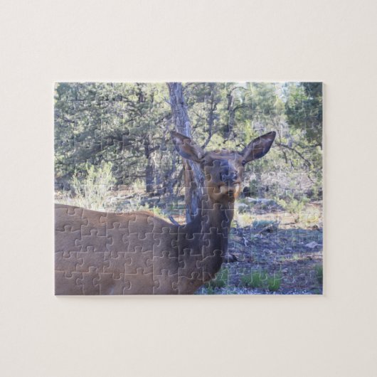 Moose Jigsaw Puzzle (Horizontal)