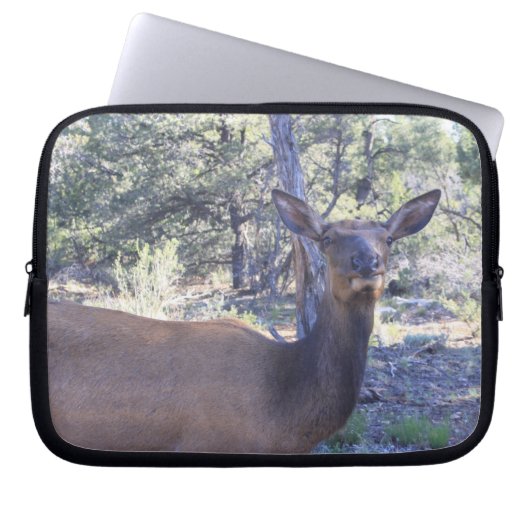 Moose Laptop Sleeve (Vorderseite)