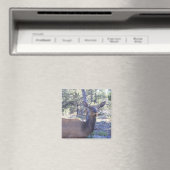 Moose Magnet (In Situ (Geschirrspüler))