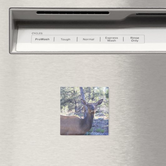 Moose Magnet (In Situ (Geschirrspüler))