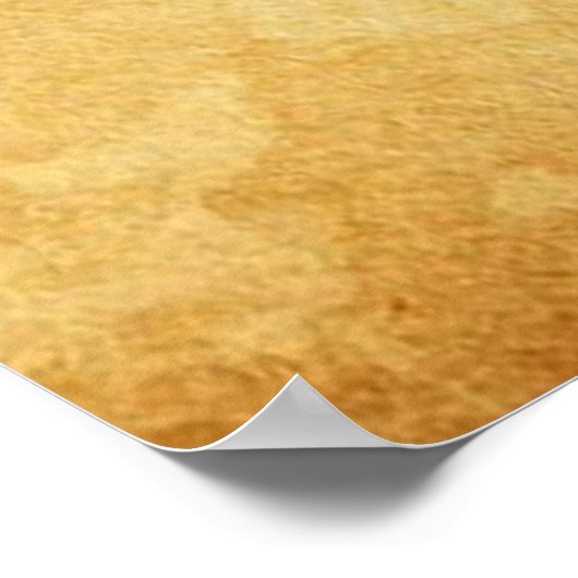 Moose Meat Rock Band Poster (Ecke)