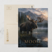 Moose Mountain Lake TIER Postkarte (Vorne/Hinten)