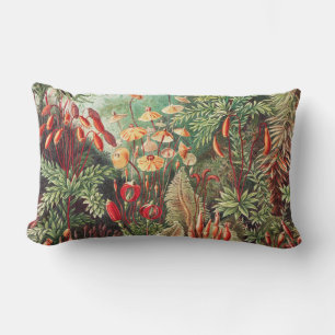 Moose, Muscinae Laubmoose von Ernst Haeckel Lendenkissen