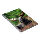 Moose-Notebook Notizblock (Rechte Seite)