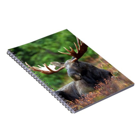 Moose-Notebook Notizblock (Rechte Seite)