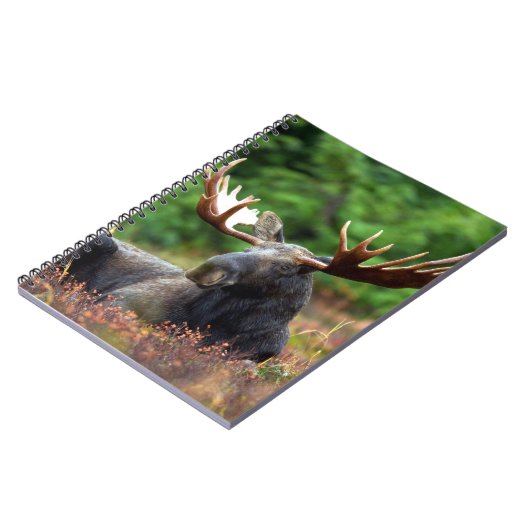 Moose-Notebook Notizblock (Linke Seite)