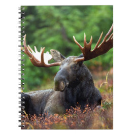 Moose-Notebook Notizblock