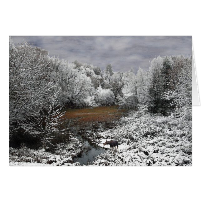 Moose on Snowy Oxbow (Vorderseite (Horizontal))