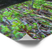 Moose Portrait Poster (Ecke)